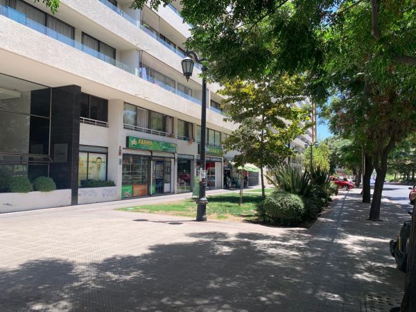 VENDO DEPARTAMENTO AV. PRESIDENTE BALMACEDA- SANTIAGO CENTRO - Imagen 2